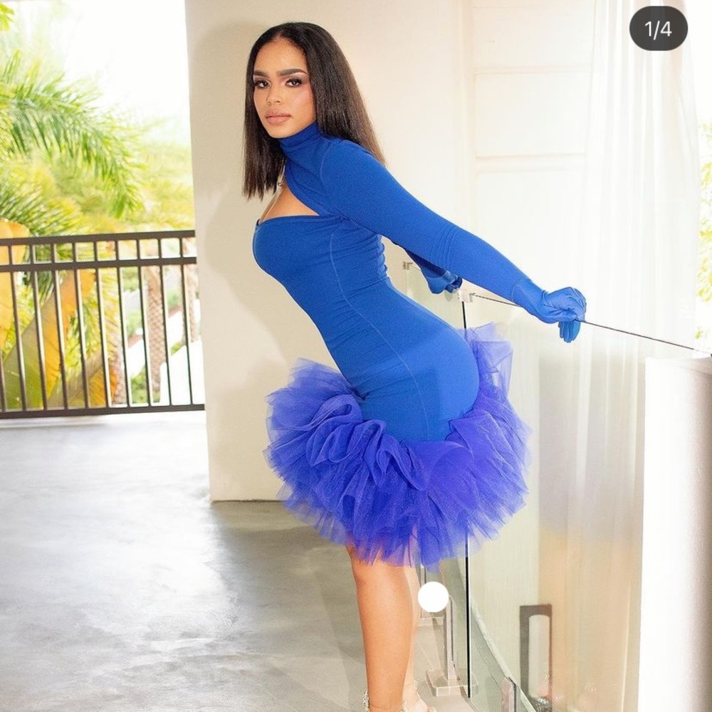 House of fleek dress
